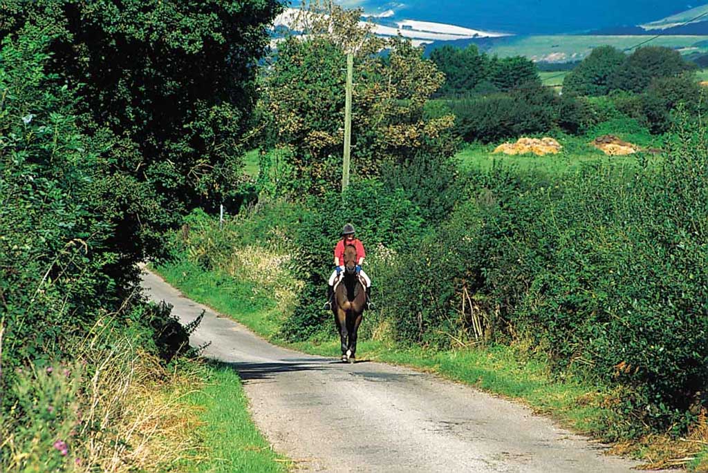 Horse riding